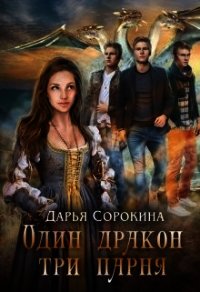 Один дракон — три парня. Дилогия (СИ) - Сорокина Дарья (читать бесплатно книги без сокращений txt) 📗