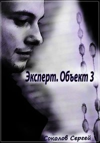 Эксперт. Объект 3 (СИ) - Соколов Сергей (лучшие книги без регистрации .TXT) 📗