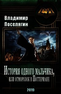 История одного мальчика, Или отморозок в Поттериане (СИ) - Поселягин Владимир Геннадьевич (электронная книга TXT) 📗