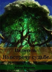 Целитель. Навстречу судьбе (СИ) - Егорова Алена (книги онлайн читать бесплатно txt) 📗