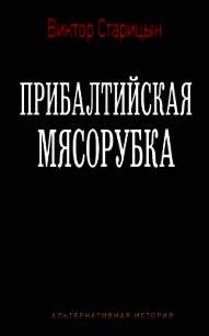 Прибалтийская мясорубка (СИ) - Старицын Виктор Карлович (читать книги онлайн бесплатно полные версии .TXT) 📗