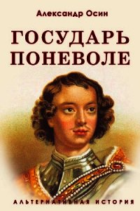 Государь поневоле (СИ) - Осин Александр Васильевич (читать онлайн полную книгу .TXT) 📗