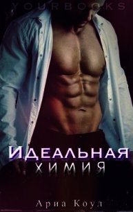 Идеальная химия (ЛП) - Коул Ария (читать книги бесплатно полные версии TXT) 📗