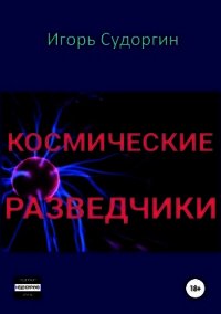 Космические разведчики (СИ) - Судоргин Игорь Вячеславович (читать книги онлайн полностью .txt) 📗