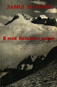 В тени Большого камня (Роман) - Маркиш Давид Перецович (е книги txt) 📗