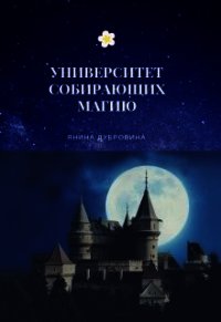 Университет собирающих магию (СИ) - Дубровина Янина (читать книги онлайн полные версии txt) 📗