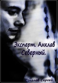 Анклав Северный (СИ) - Соколов Сергей Александрович (книги без сокращений .txt) 📗