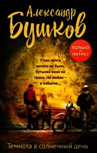 Темнота в солнечный день - Бушков Александр Александрович (книги без регистрации полные версии TXT) 📗