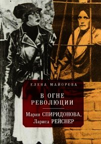 В огне революции(Мария Спиридонова, Лариса Рейснер) - Майорова Елена Ивановна (читать онлайн полную книгу txt) 📗