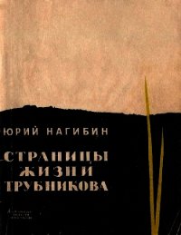 Страницы жизни Трубникова(Повесть) - Нагибин Юрий Маркович (читаем книги онлайн без регистрации .txt) 📗
