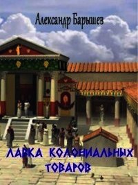 Лавка колониальных товаров (СИ) - Барышев Александр Владимирович (книги без регистрации полные версии .txt) 📗