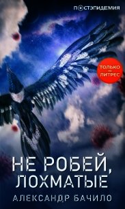 Не робей, лохматые! - Бачило Александр (бесплатные серии книг txt) 📗