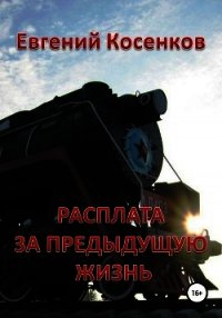 Расплата за предыдущую жизнь (СИ) - Косенков Евгений Николаевич (книги онлайн без регистрации TXT) 📗