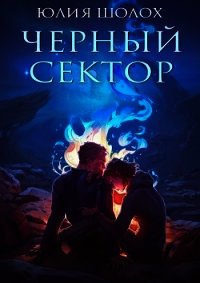 Чёрный сектор (СИ) - Шолох Юлия (первая книга .TXT) 📗