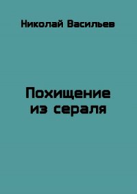 Похищение из сераля (СИ) - Васильев Николай Федорович (читать полную версию книги TXT) 📗