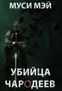 Убийца чародеев (СИ) - Лис Алекс "Муси Мэй" (книги бесплатно читать без .TXT) 📗