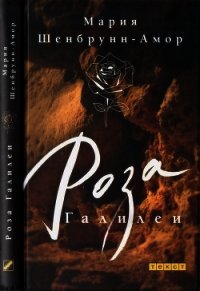 Роза Галилеи - Шенбрунн-Амор Мария (книги онлайн бесплатно .TXT) 📗