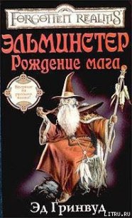 Эльминстер. Рождение мага - Гринвуд Эд (читать бесплатно полные книги txt) 📗