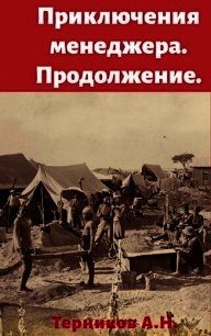 Приключения менеджера. Продолжение (СИ) - Терников Александр Николаевич (читать книги онлайн бесплатно без сокращение бесплатно txt) 📗