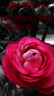 Правильный выбор (СИ) - Черная Ева Л. "Черная Ева" (читать книги онлайн .txt) 📗