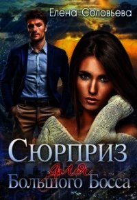 Сюрприз для Большого Босса (СИ) - Соловьева Елена (читать книги онлайн бесплатно полностью .txt) 📗