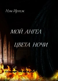 Мой ангел цвета ночи (СИ) - Нэм Иртэк (бесплатные книги онлайн без регистрации txt) 📗