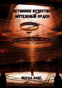 Мятежный Орден (СИ) - Яцула Олег (список книг TXT) 📗