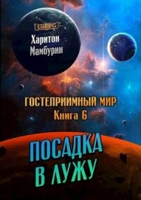 Посадка в лужу (СИ) - Мамбурин Харитон Байконурович (книги бесплатно без регистрации полные txt) 📗