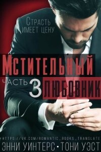 Мстительный любовник. Часть 3 (СИ) - Уинтерс Энни (книги онлайн полностью txt) 📗