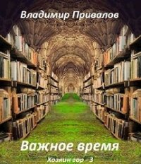 Важное время (СИ) - Привалов Владимир (читаемые книги читать онлайн бесплатно .txt) 📗