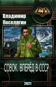 Совок. Вперёд в СССР (СИ) - Поселягин Владимир Геннадьевич (читать книги онлайн бесплатно полные версии TXT) 📗