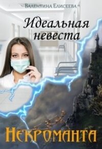 Идеальная невеста некроманта (СИ) - Елисеева Валентина (книги читать бесплатно без регистрации txt) 📗