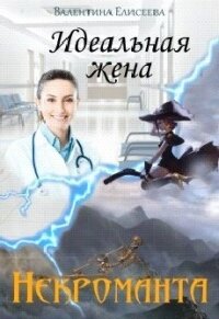 Идеальная жена некроманта (СИ) - Елисеева Валентина (читать книги без регистрации TXT) 📗