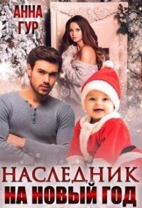 Наследник на Новый Год&#33; (СИ) - Гур Анна (читать полностью книгу без регистрации .TXT) 📗