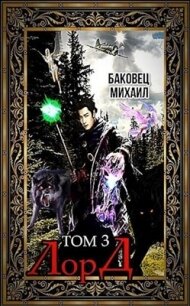 Лорд 3 (СИ) - Баковец Михаил (книги онлайн txt) 📗