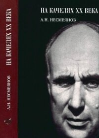 На качелях XX века - Несмеянов Александр Николаевич (бесплатные онлайн книги читаем полные версии txt) 📗