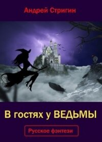 В гостях у ведьмы (СИ) - Стригин Андрей Николаевич (книги бесплатно полные версии .TXT) 📗