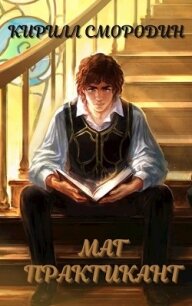 Маг-практикант (СИ) - Смородин Кирилл (книга регистрации TXT) 📗