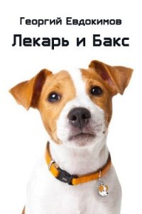 Лекарь и Бакс (СИ) - Евдокимов Георгий (библиотека книг .TXT) 📗