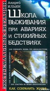 Школа выживания при авариях и стихийных бедствиях - Ильин Андрей (читать бесплатно книги без сокращений .TXT) 📗