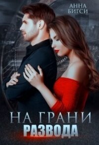 На грани развода (СИ) - Бигси Анна (версия книг .txt) 📗