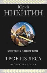 Трое из Леса. Вторая трилогия - Никитин Юрий (книги серия книги читать бесплатно полностью .txt, .fb2) 📗