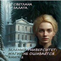 Магия не ошибается. Книга 2 (СИ) - Залата Светлана (мир книг TXT, FB2) 📗