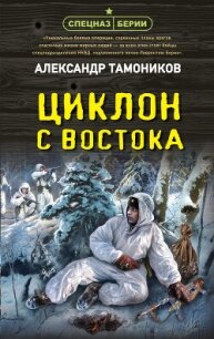 Циклон с востока - Тамоников Александр (читать книги полностью без сокращений бесплатно .txt, .fb2) 📗