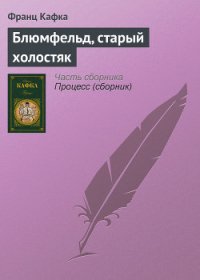 Блюмфельд, старый холостяк - Кафка Франц (бесплатные версии книг txt) 📗