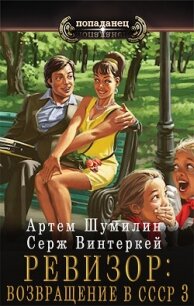 Ревизор: возвращение в СССР 3 (СИ) - Винтеркей Серж (книги читать бесплатно без регистрации .TXT, .FB2) 📗