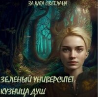 Кузница душ (СИ) - Залата Светлана (читать книги без регистрации полные .TXT, .FB2) 📗