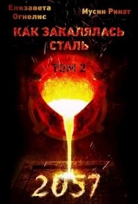 Как закалялась сталь - 2057. Том 2 (СИ) - Мусин Ринат (библиотека электронных книг .txt, .fb2) 📗