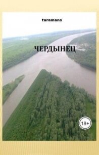 Чердынец (СИ) - taramans (книги бесплатно без TXT, FB2) 📗