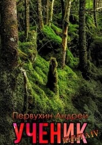 Ученик. Книга четвёртая - Первухин Андрей Евгеньевич (бесплатные полные книги txt, fb2) 📗